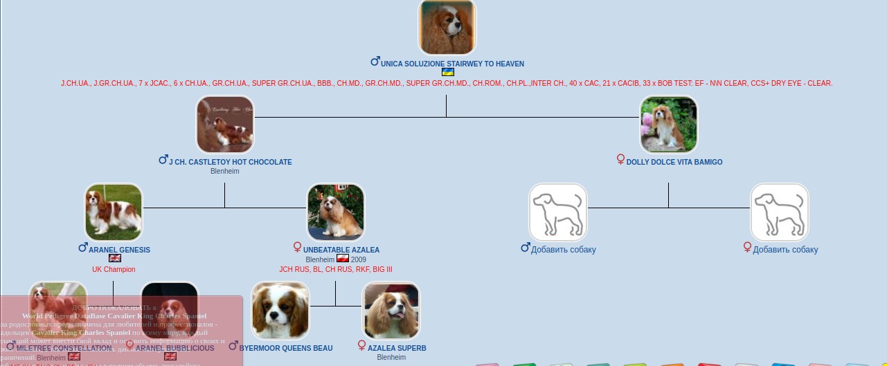 UNICA SOLUZIONE STAIRWEY TO HEAVEN (ИТАН)