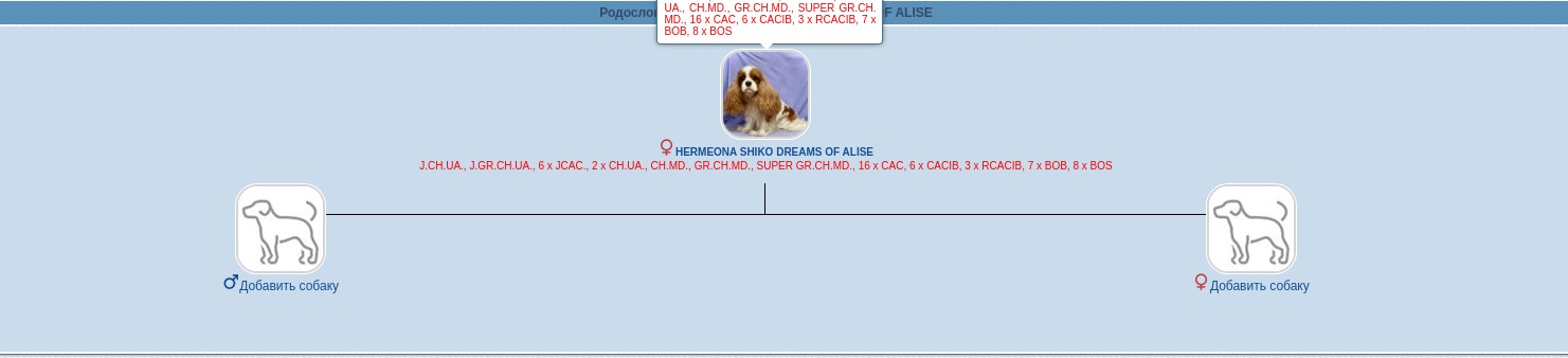 HERMEONA Shiko Dreams of Alise