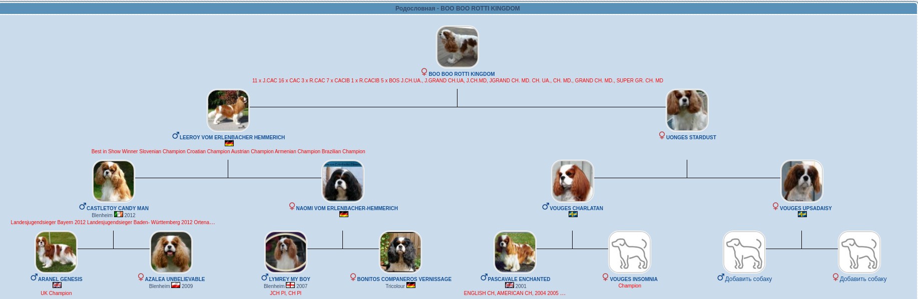 BOO BOO ROTTI KINGDOM ( БУ - БУ)