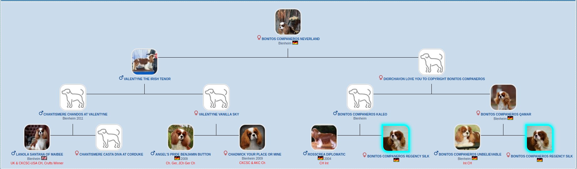 BONITOS COMPANEROS NEVERLAND (РОНИ)