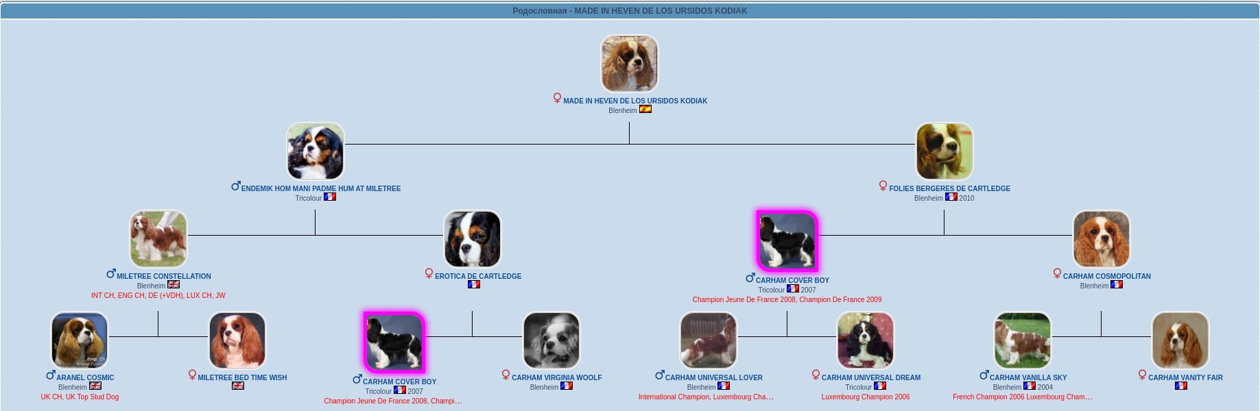 MADE IN HEAVEN  DE  LOS  URSIDOS KODIAK