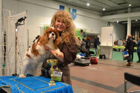 Питомник SHIKO DREAMS OF ALICE