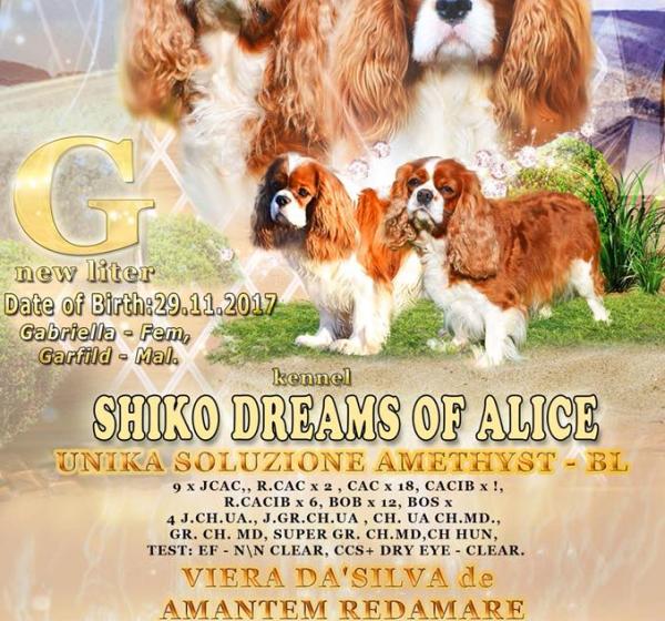 G-Litter. Vieira Da'silva De Amantem Redamare && Unica Soluzione Amethist