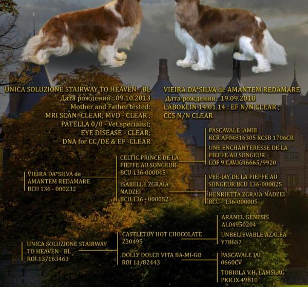 A-Litter. Vieira Da' Silva De Amantem Redamare && Unica Soluzione Stairway to Heaven