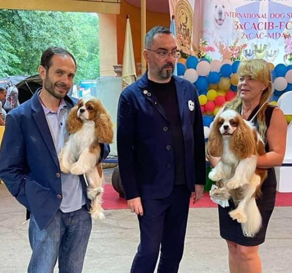 Passed IDS 3 CACIB in Moldova