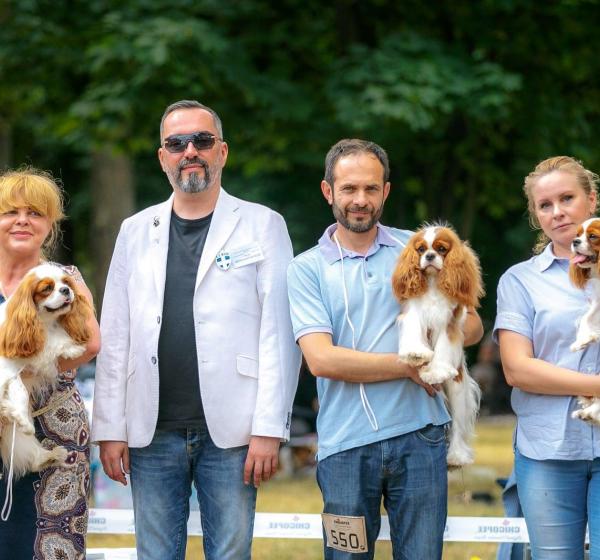 ЛЬВIВ IDS - CACIB " Пам`ятi Ольги Низовоi " 17.07.2021