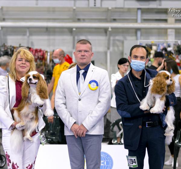 UKRAINE , KIEV FCI - CACIB " ЗОЛОТI ВОРОТА "27.08.21 .