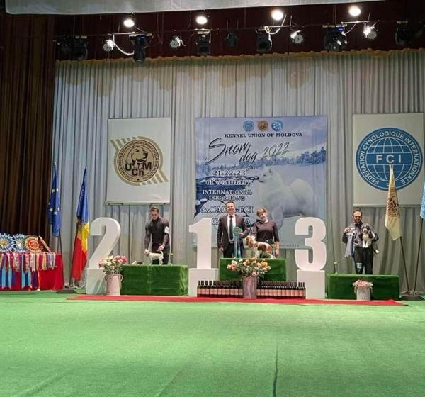 Moldova, Orhei 21-23.01.2022 FCI 3xCACIB.