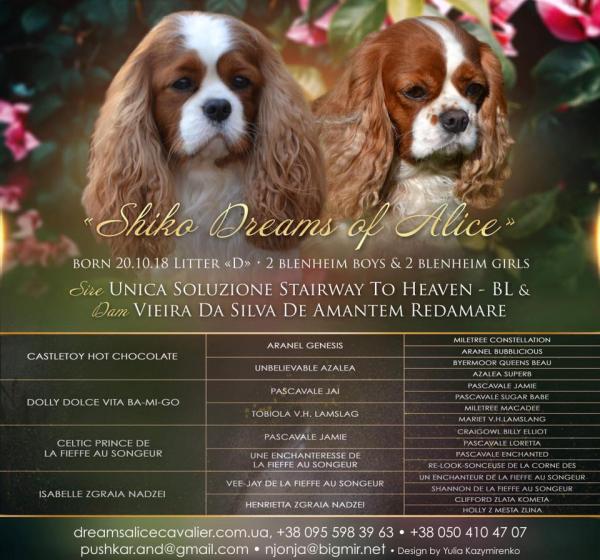 D-Litter. UNICA SOLUZIONE STAIRWEY TO HEAVEN && VIERA DA'SILVA de AMANTEM REDAMARE