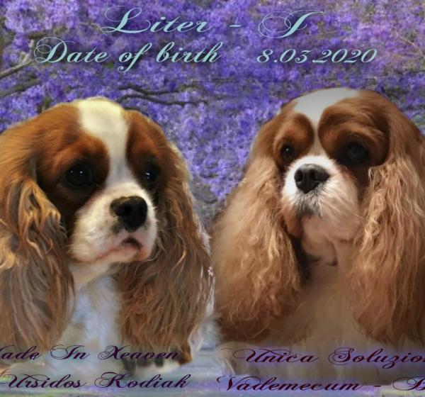 Liter - J 08.03.2020