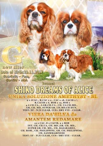 G-Litter. Vieira Da'silva De Amantem Redamare && Unica Soluzione Amethist