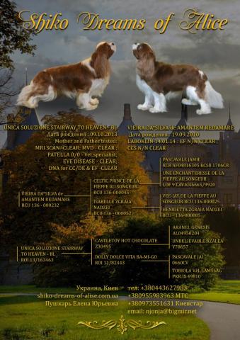 A-Litter. Vieira Da' Silva De Amantem Redamare && Unica Soluzione Stairway to Heaven