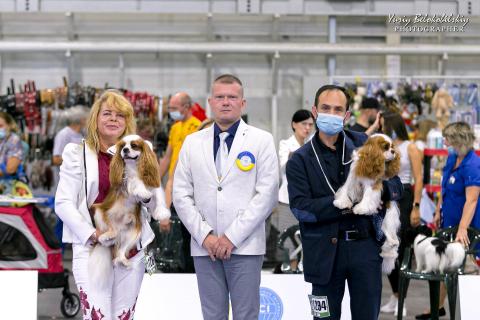 UKRAINE , KIEV FCI - CACIB " ЗОЛОТI ВОРОТА "27.08.21 .