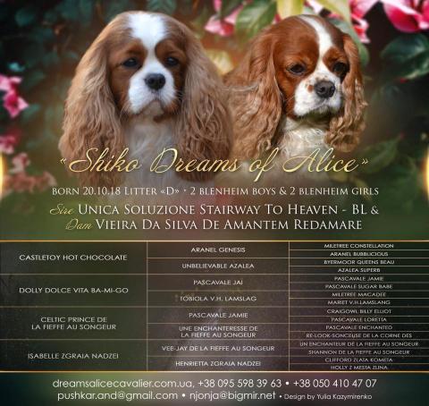 D-Litter. UNICA SOLUZIONE STAIRWEY TO HEAVEN && VIERA DA'SILVA de AMANTEM REDAMARE