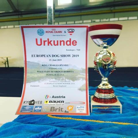 EDS 2019 Wels, Austria