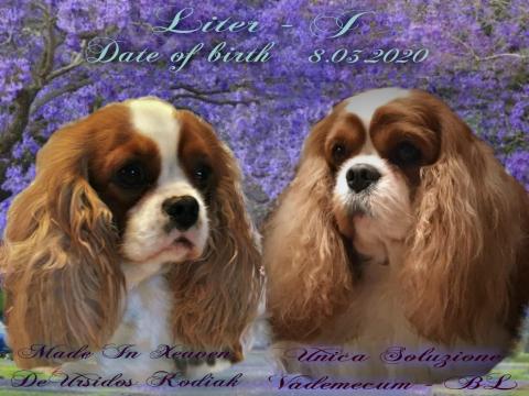 Liter - J 08.03.2020